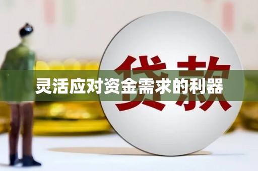 三门峡灵活应对资金需求的利器