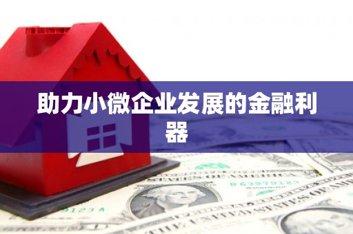 三门峡助力小微企业发展的金融利器