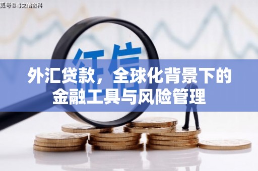 三门峡外汇贷款，全球化背景下的金融工具与风险管理